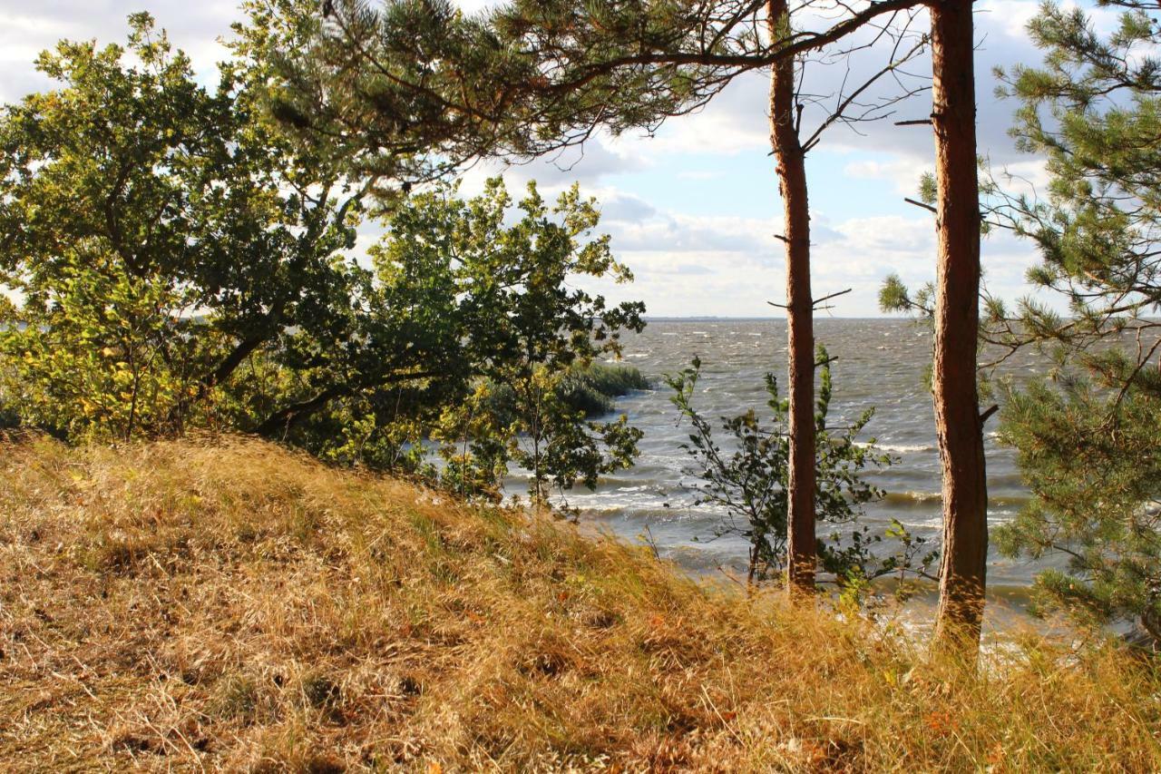 Ferienwohnung Sea Vogelsang-Warsin Zewnętrze zdjęcie