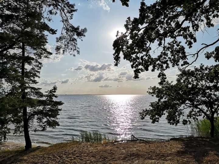 Ferienwohnung Sea Vogelsang-Warsin Zewnętrze zdjęcie